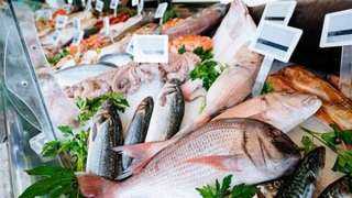 أسعار الأسماك اليوم الأحد 20-9-2020 في السوق المحلي